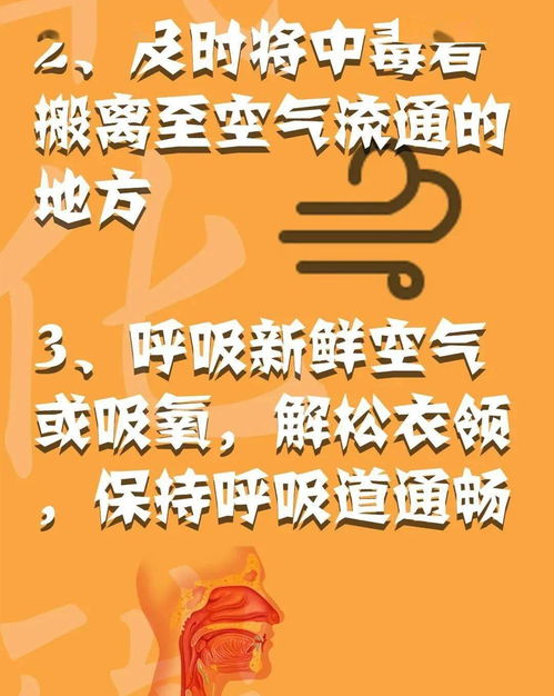消防安全心中記，平平安安過大年——系列三：消防安全全攻略