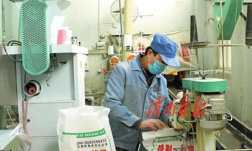 打造農產品加工產業新地標 渭南經開區以生物技術服務助力農業產業高質量發展